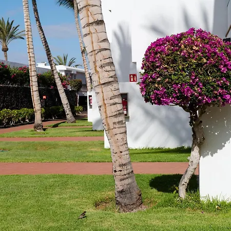 Fariones Daire Puerto del Carmen (Lanzarote)