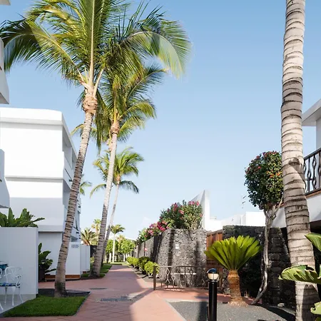 Fariones Puerto del Carmen (Lanzarote)